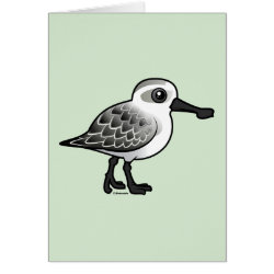 Spoon-billed Sandpiper non-breeding Greeting Card