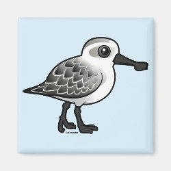 Spoon-billed Sandpiper non-breeding Square Magnet