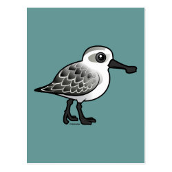 Spoon-billed Sandpiper non-breeding Postcard
