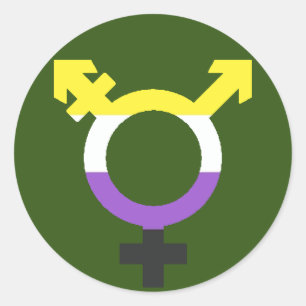 Nonbinary  Flag Trans Symbol Classic Round Sticker