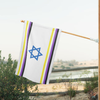 Nonbinary Israel Pride Flag