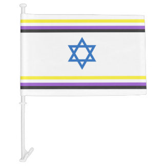 Nonbinary Israel Pride Flag Small