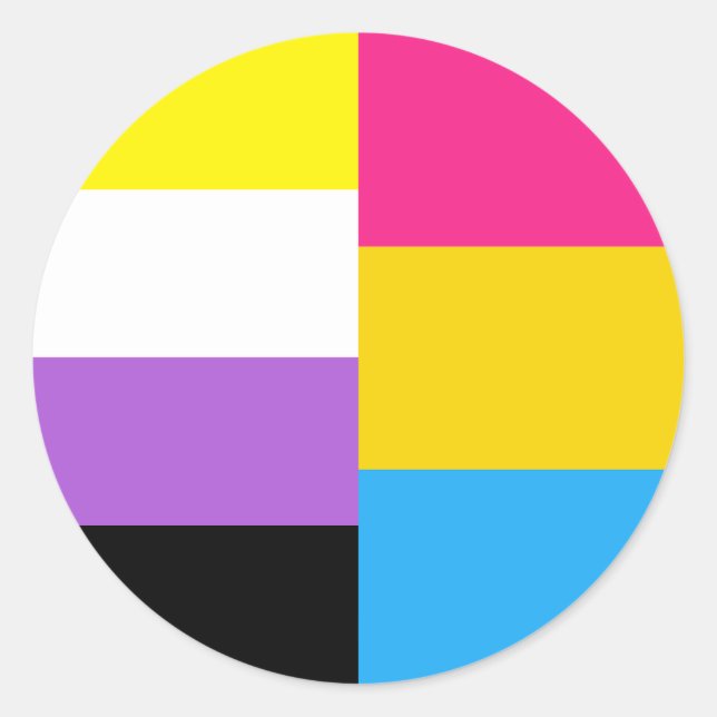 Nonbinary Pansexual Dual Pride Flag Classic Round Sticker (Front)