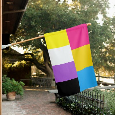 Nonbinary Pansexual Dual Pride House Flag