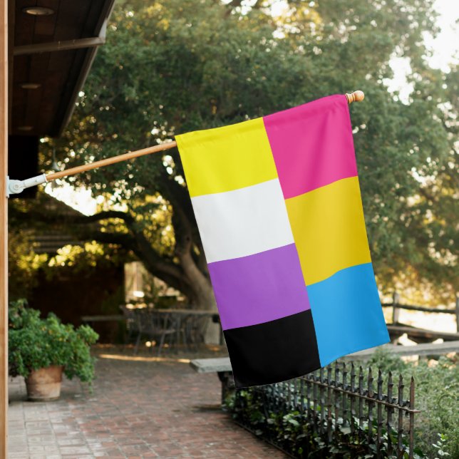 Nonbinary Pansexual Dual Pride House Flag (In SItu)
