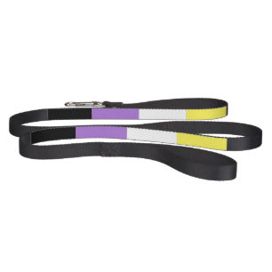Nonbinary Pride Flag Pet Leash