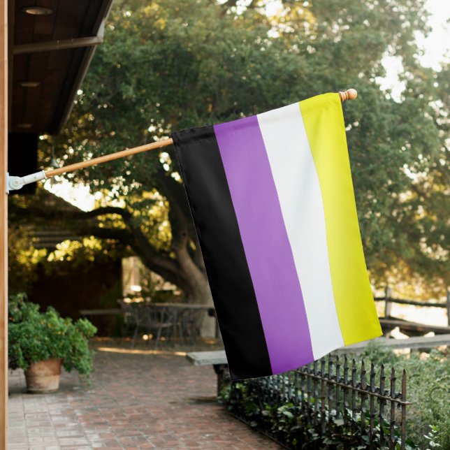 Nonbinary Pride House Flag (In SItu)