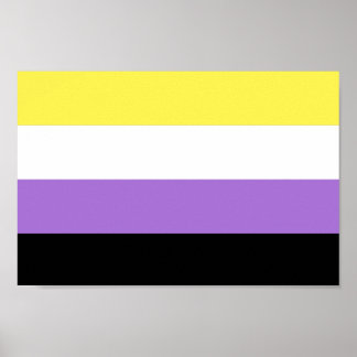 Nonbinary Pride Poster