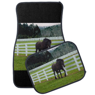 Nonesuch at Cedar Point Car Floor Mat