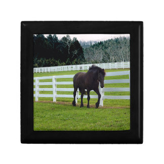 Nonesuch at Cedar Point Gift Box