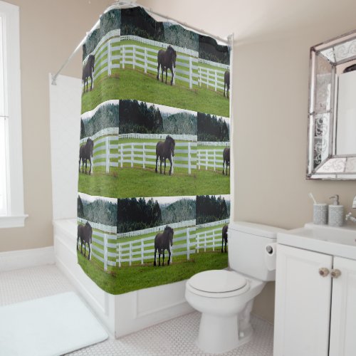 Nonesuch at Cedar Point  Shower Curtain