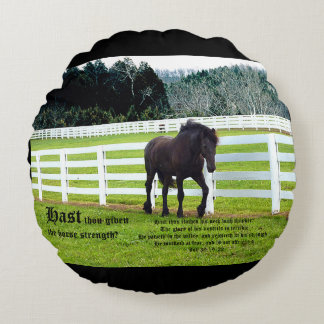 Nonesuch at Cedar Point w Job 39 Round Pillow