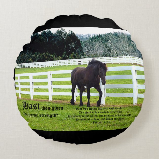 Nonesuch at Cedar Point w Job 39 Round Pillow (Front)