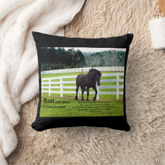 Nonesuch at Cedar Point w Job 39 Throw Pillow