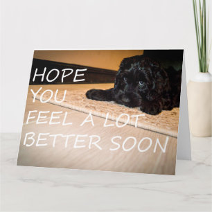 Noodle want's you to be better large card