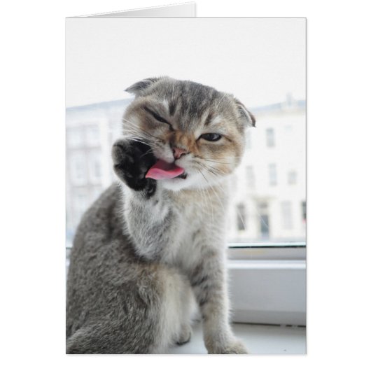 Noodles Star Trek (Front)