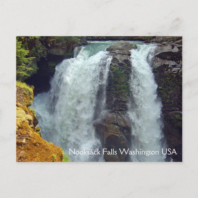 Nooksack Falls in Washington Postcard (Front)