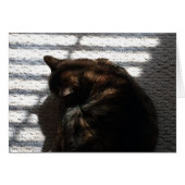 Noontime Nap, card (Front Horizontal)