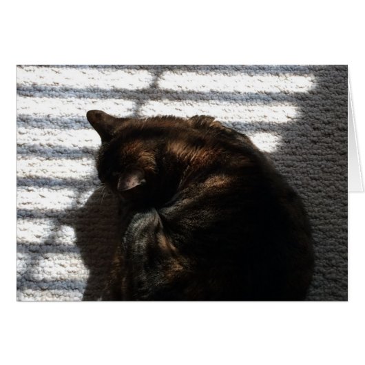 Noontime Nap, card (Front Horizontal)