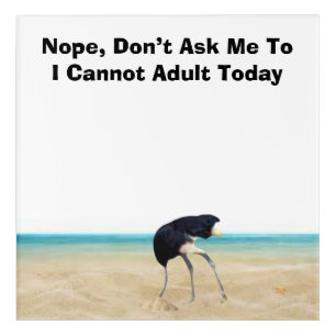 Nope, Don’t Ask Me To Acrylic Wall Art