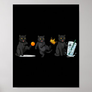 Nope no kings no ice cat funny political meme poster