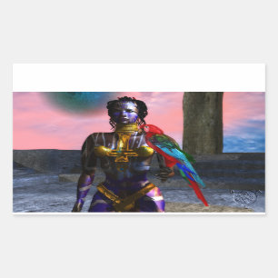 NORA CYBER WARRIOR RECTANGULAR STICKER