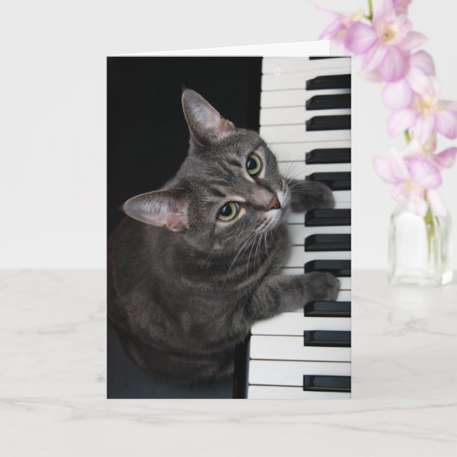 Nora The Piano Cat - Blank Folded Card - Style 001 (Orchid)