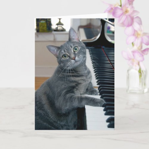 Nora The Piano Cat _ Blank Folded Card _ Style 004