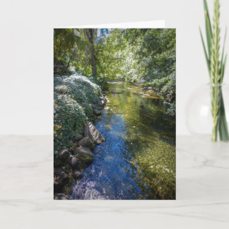 NorCal Nature Greeting Card: Big Chico Creek Card