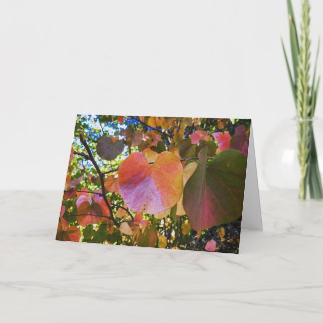 NorCal Nature Greeting Card: Heart Leaves Card (Front)