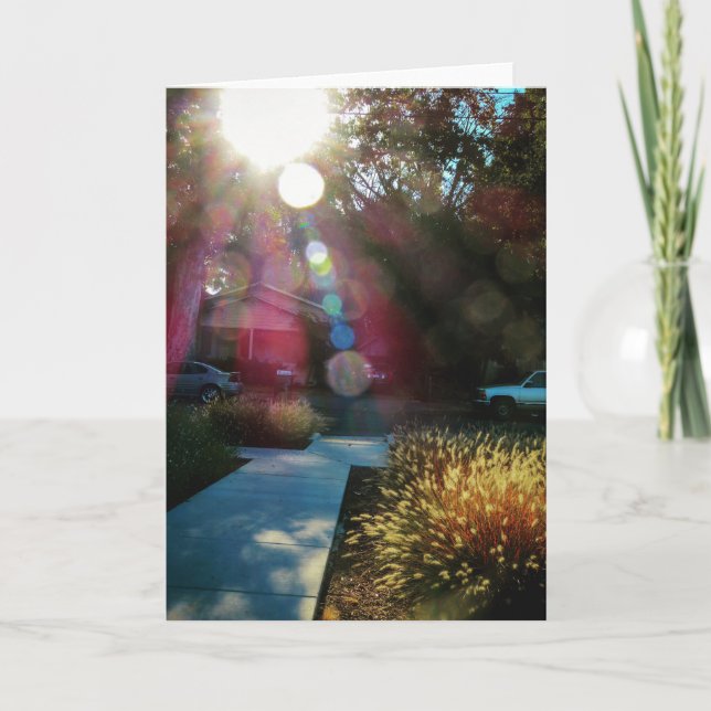 NorCal Nature Greeting Card: Morning Sunshine Card (Front)