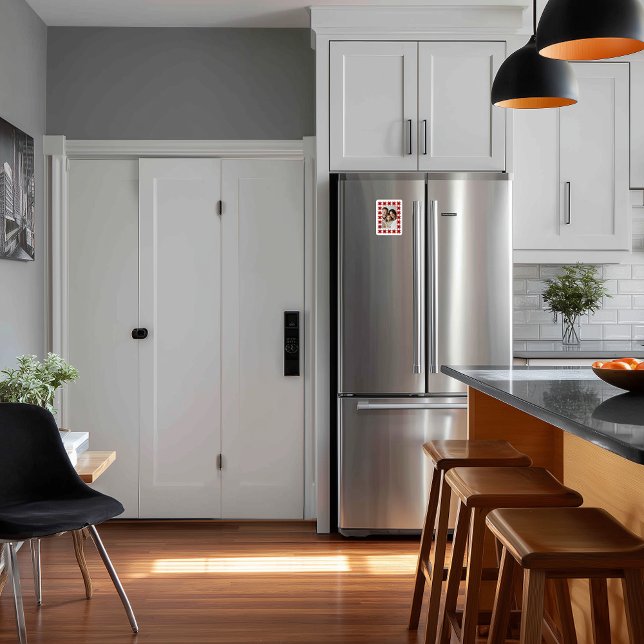 Nordic Star Frame Magnet (Creator Uploaded)