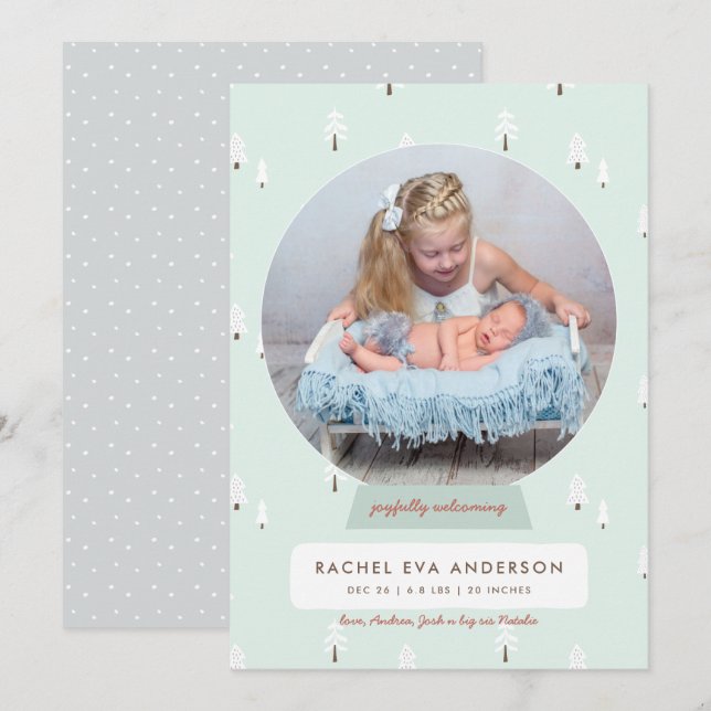 Nordic Winter New Baby First Christmas Snowglobe Holiday Card (Front/Back)
