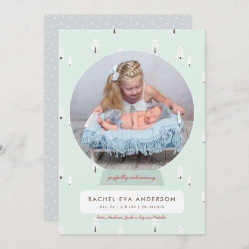 Nordic Winter New Baby First Christmas Snowglobe Holiday Card