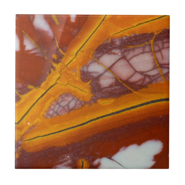 Noreena Jasper Rock Slab Ceramic Tile (Front)