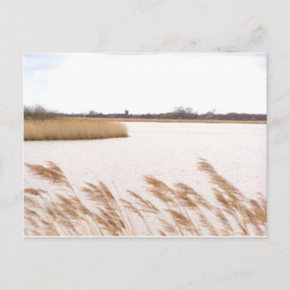 Norfolk Broads Postcard