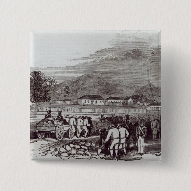 Norfolk Island Button (Front)