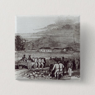 Norfolk Island Button