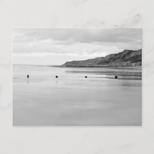 Norfolk Shore Postcard (Front)