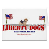 Norfolk Terrier (Front Horizontal)