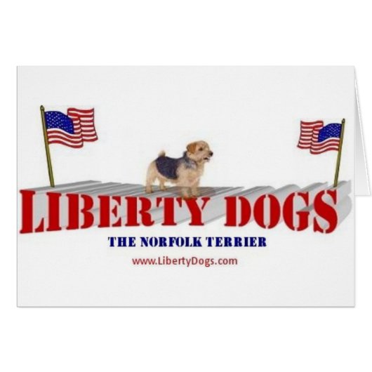 Norfolk Terrier (Front Horizontal)