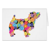 Norfolk Terrier (Front Horizontal)