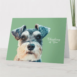 Norfolk Terrier Card