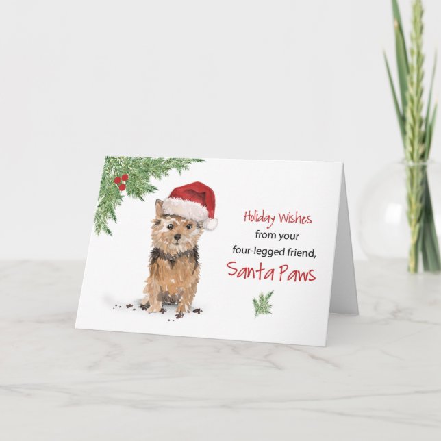 Norfolk Terrier Christmas From Dog in Funny Santa Card (Front)