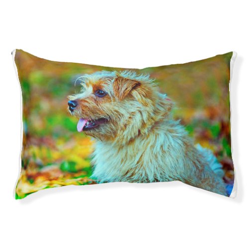 Norfolk  Terrier Dog Bed Pet Bed