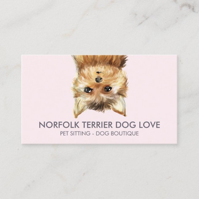 Norfolk Terrier Dog Business Card