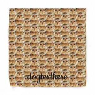 Norfolk Terrier Dog Patterned Bandana