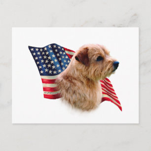 Norfolk Terrier Flag Postcard