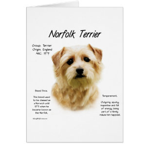Norfolk Terrier History Design Cards