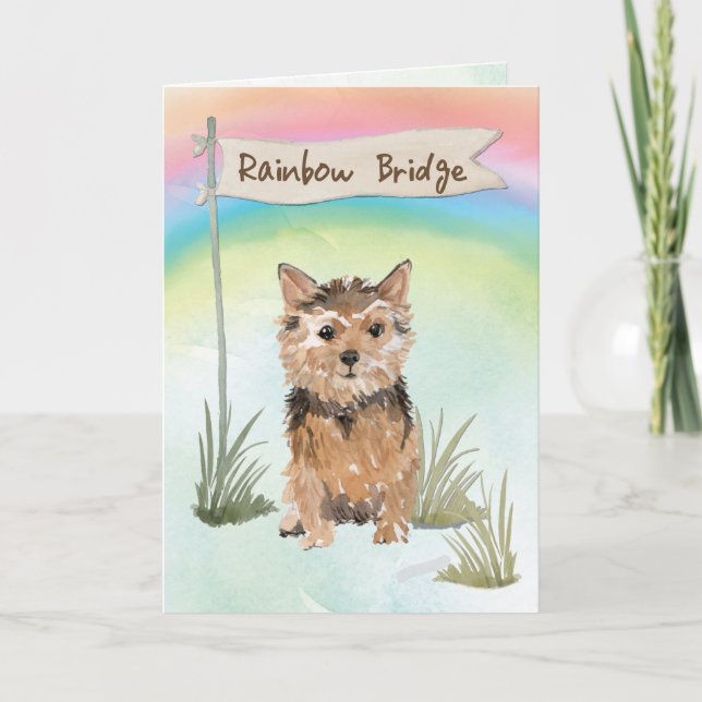 Norfolk Terrier Pet Sympathy Over Rainbow Bridge Card (Front)